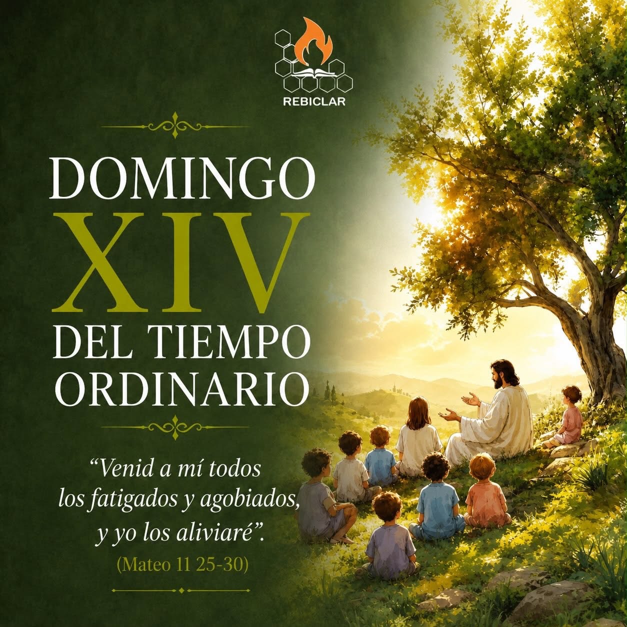 XIV Domingo del Tiempo Ordinario 